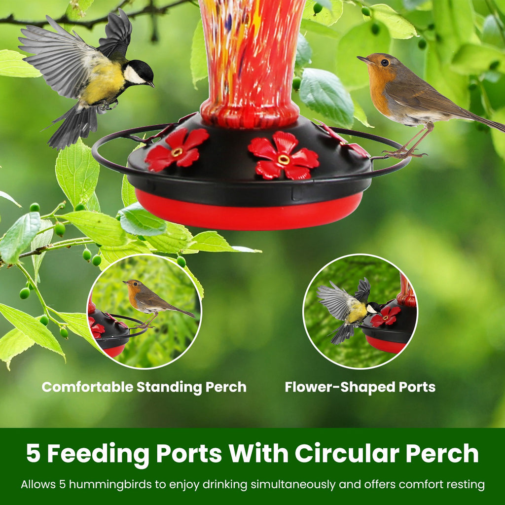 Hand-Blown Glass Hummingbird Feeder (33 oz)