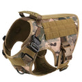 Nylon Dog Harness & Leash Set