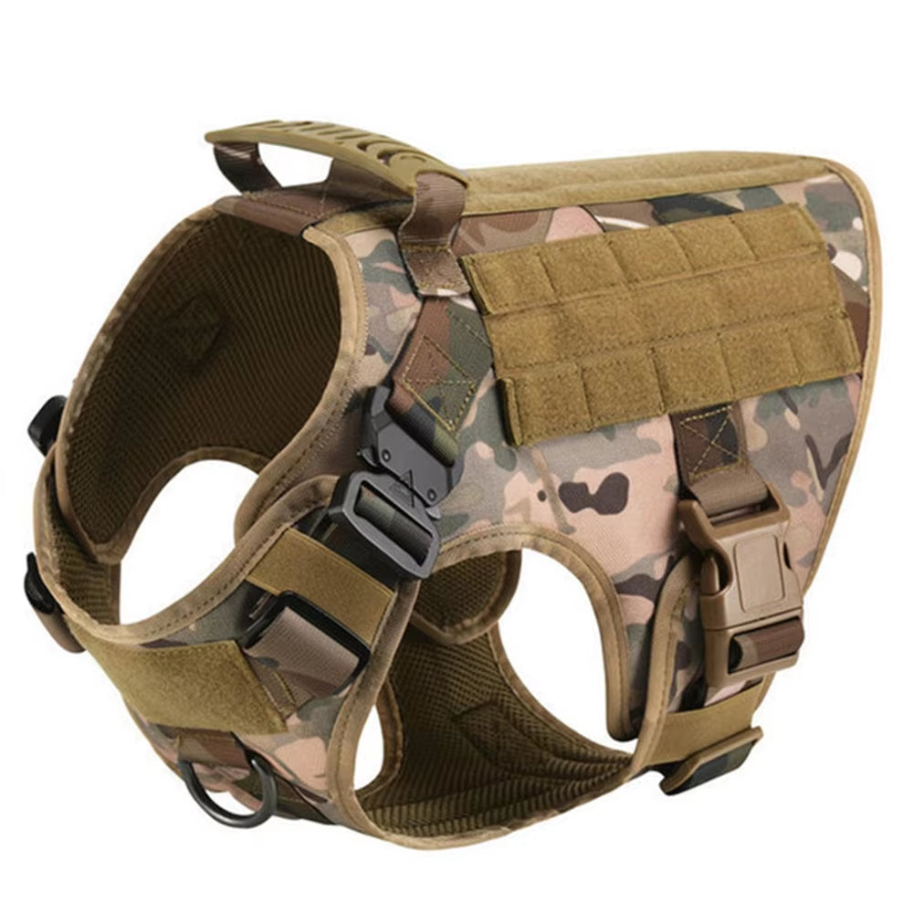 Nylon Dog Harness & Leash Set