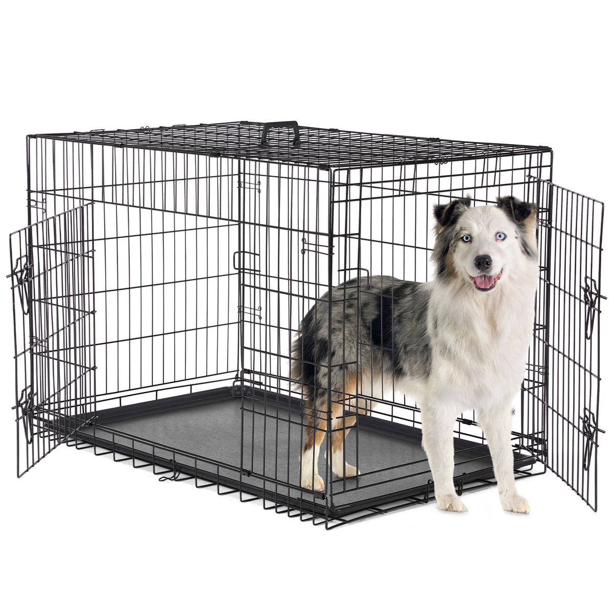 36 in Double-Door Folding Wire Dog Crate
