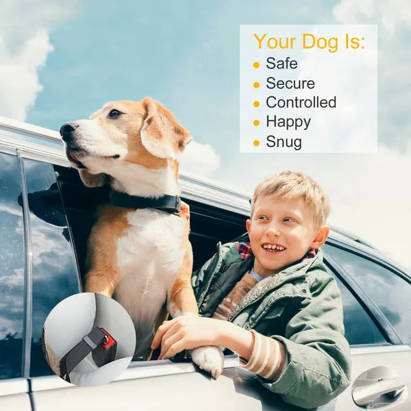 Pet Car Seat Belt Tethers, 2-Pack