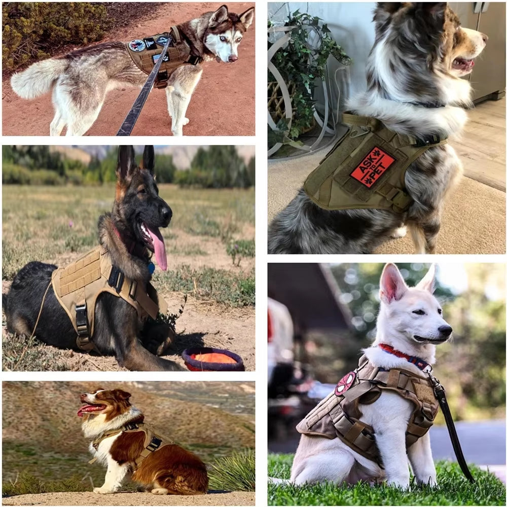 Nylon Dog Harness & Leash Set