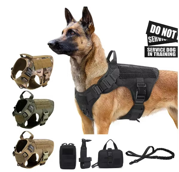 Nylon Dog Harness & Leash Set