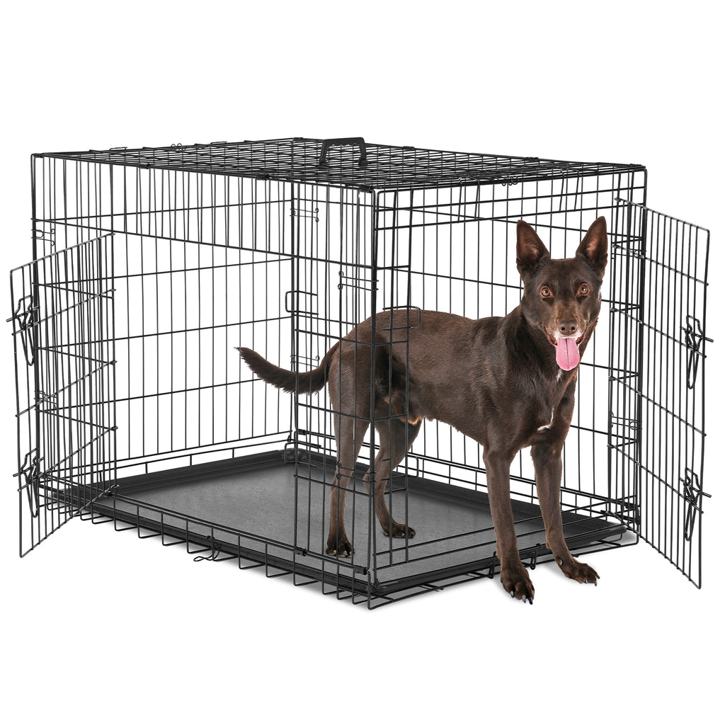 36 in Double-Door Folding Wire Dog Crate