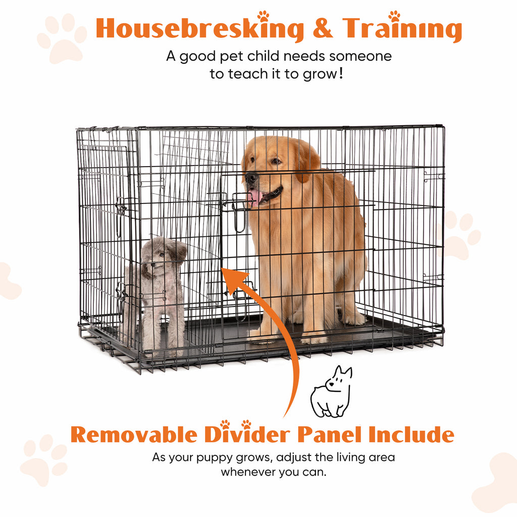 36 in Double-Door Folding Wire Dog Crate