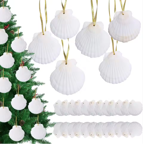 Natural Scallop Seashells for Crafts & Ornaments (24 pcs)
