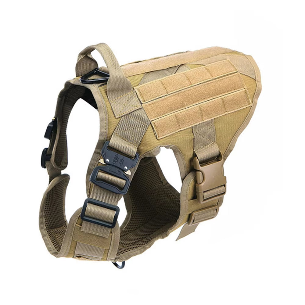Nylon Dog Harness & Leash Set
