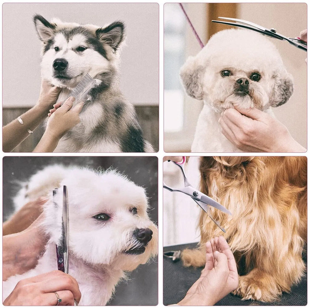 Pet Grooming Scissors Kit (Straight, Curved, Thinning + Comb)