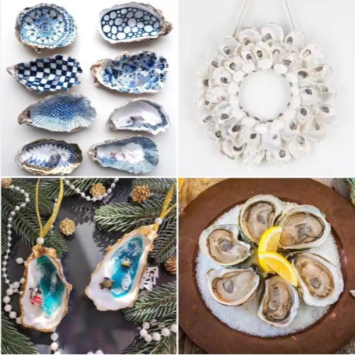 Natural Oyster Shells with Faux Pearl for Crafts (30 pcs)