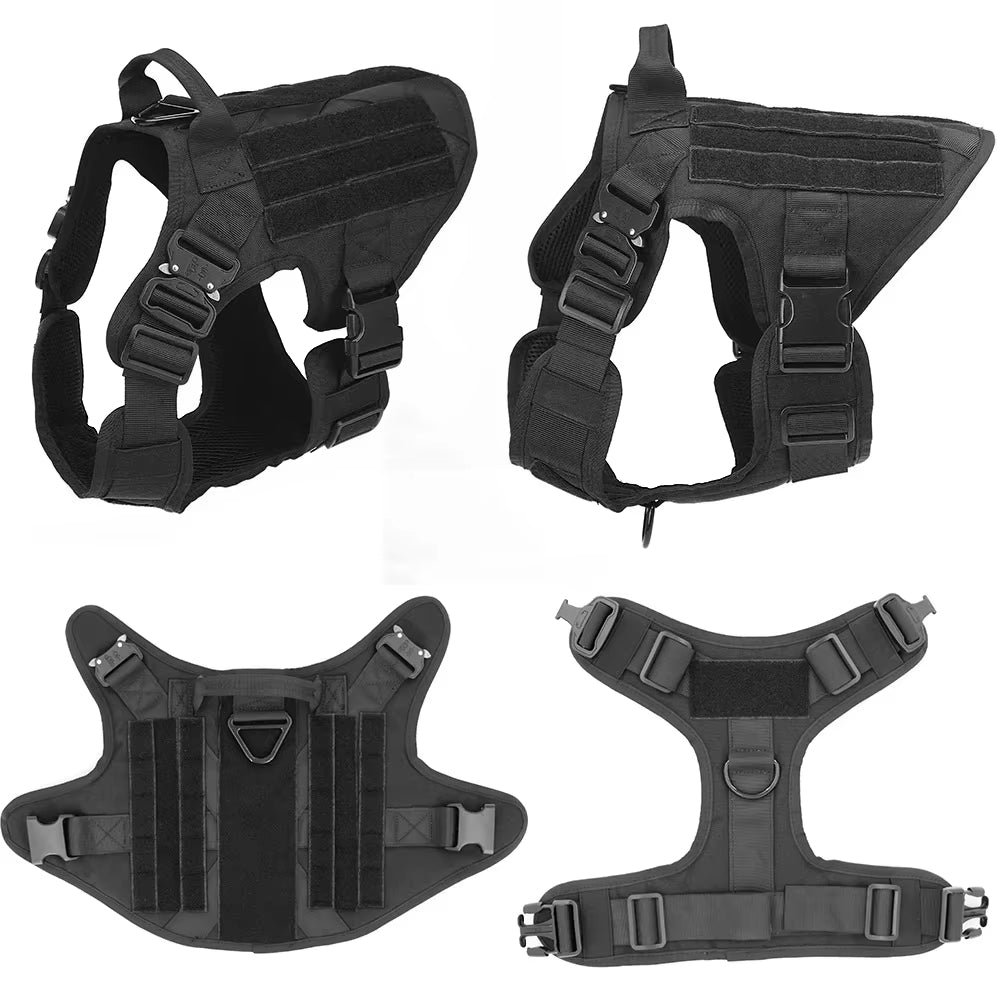 Nylon Dog Harness & Leash Set