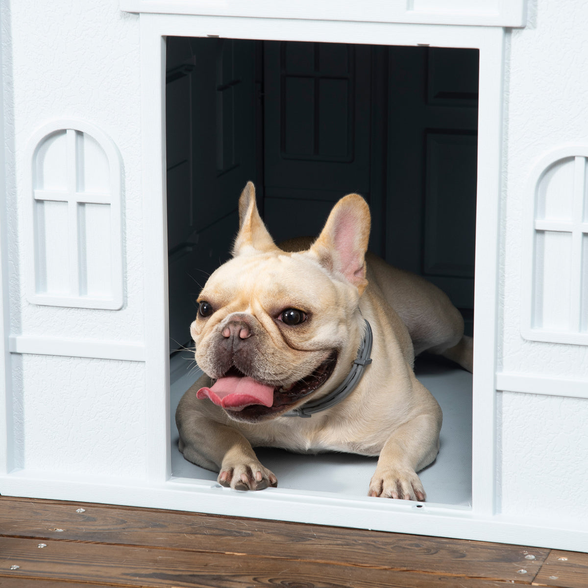 Plastic Dog House with Windows