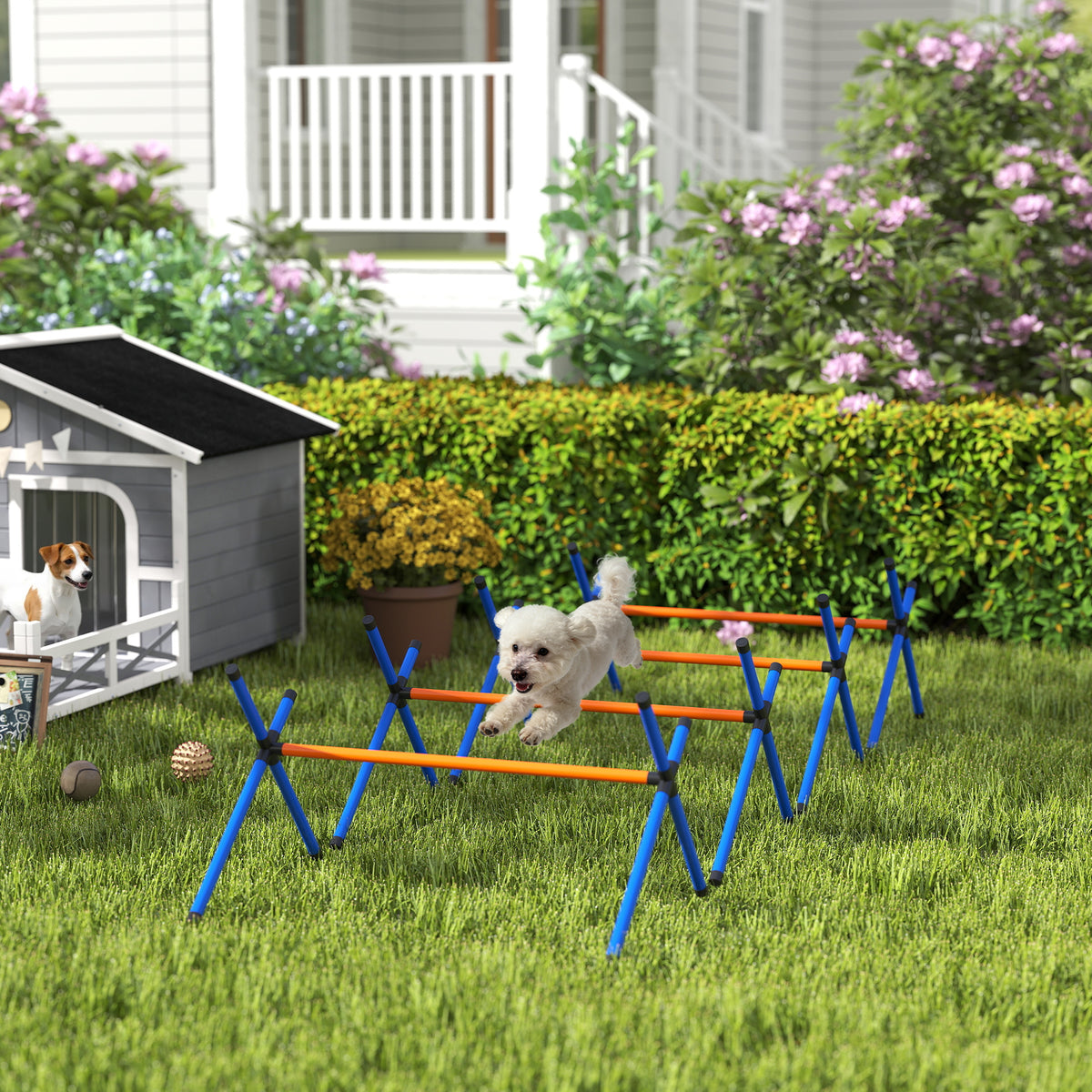 4-Piece Dog Agility Hurdle Set (Adjustable)