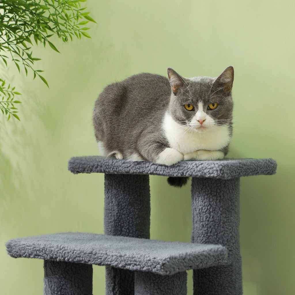 4-Step Carpeted Pet Stairs with Scratching Post (25 in)