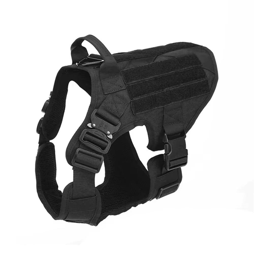 Nylon Dog Harness & Leash Set