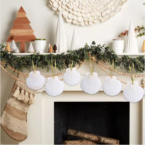 Natural Scallop Seashells for Crafts & Ornaments (24 pcs)