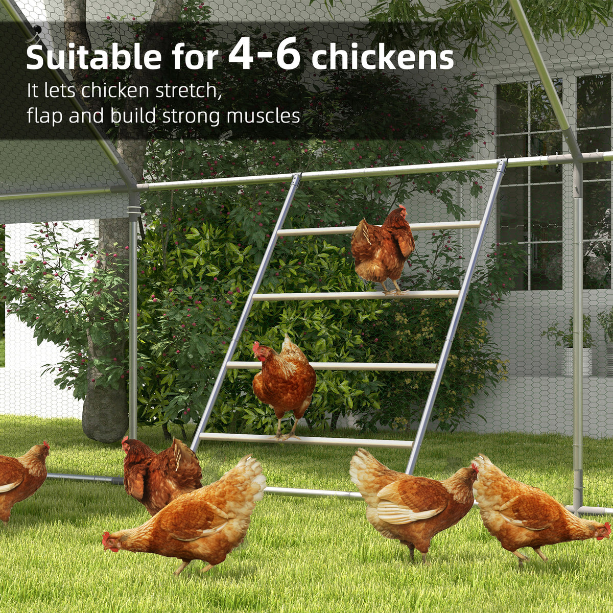 Chicken Roosting Ladder, 4 Levels (55 in)