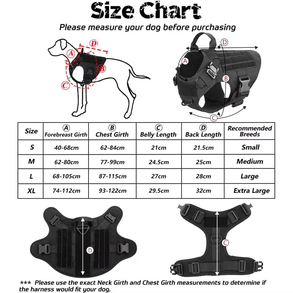 Nylon Dog Harness & Leash Set